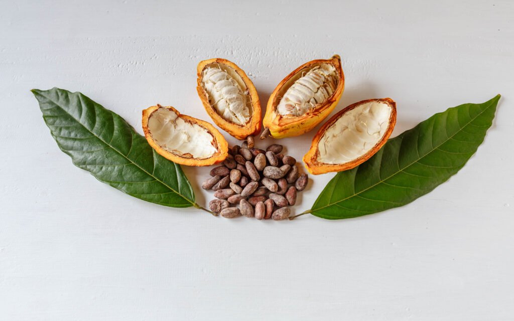 half cacao pods cacao fruit with brown cocoa beans1 1024x640 1